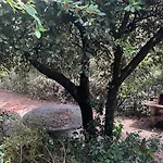 Val Dazur Valbonne Les Jasmins